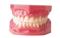 1st Choice Dentures 147089 Image 1