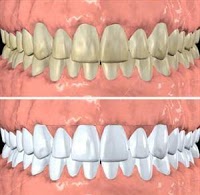 Clent Dentist 144361 Image 2