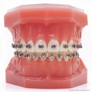 Divine Dentistry 139166 Image 1