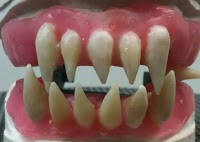 St Georges Dental Lab 145176 Image 5