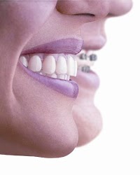 Bluebell Dental Practice 151084 Image 4
