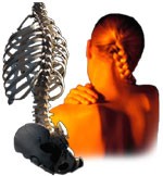 Body Balance Osteopaths 152159 Image 7