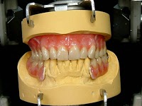 Elite Dental Studio 145274 Image 9
