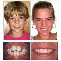 Halstead Dentist 145039 Image 1