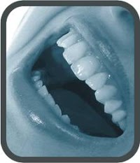 Wollaton Dental Care 145495 Image 0